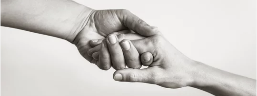 Your donations support...